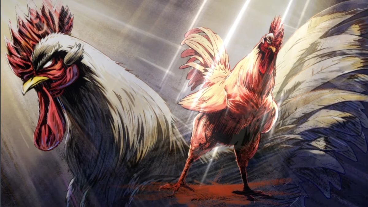 Rooster-Fighter-official-visual-of-the-main-character